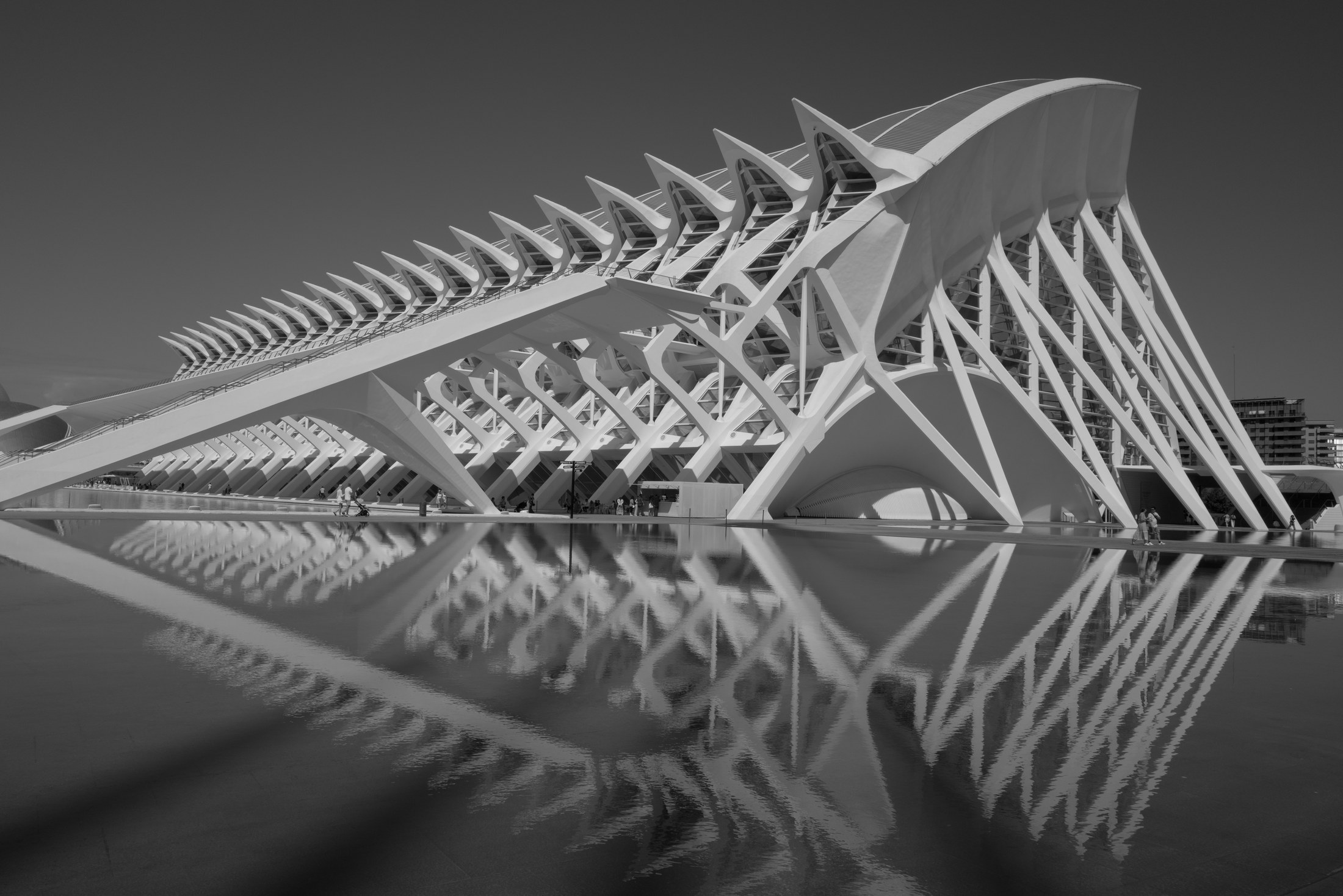 City of Arts and Sciences, photographed by Luna Studio